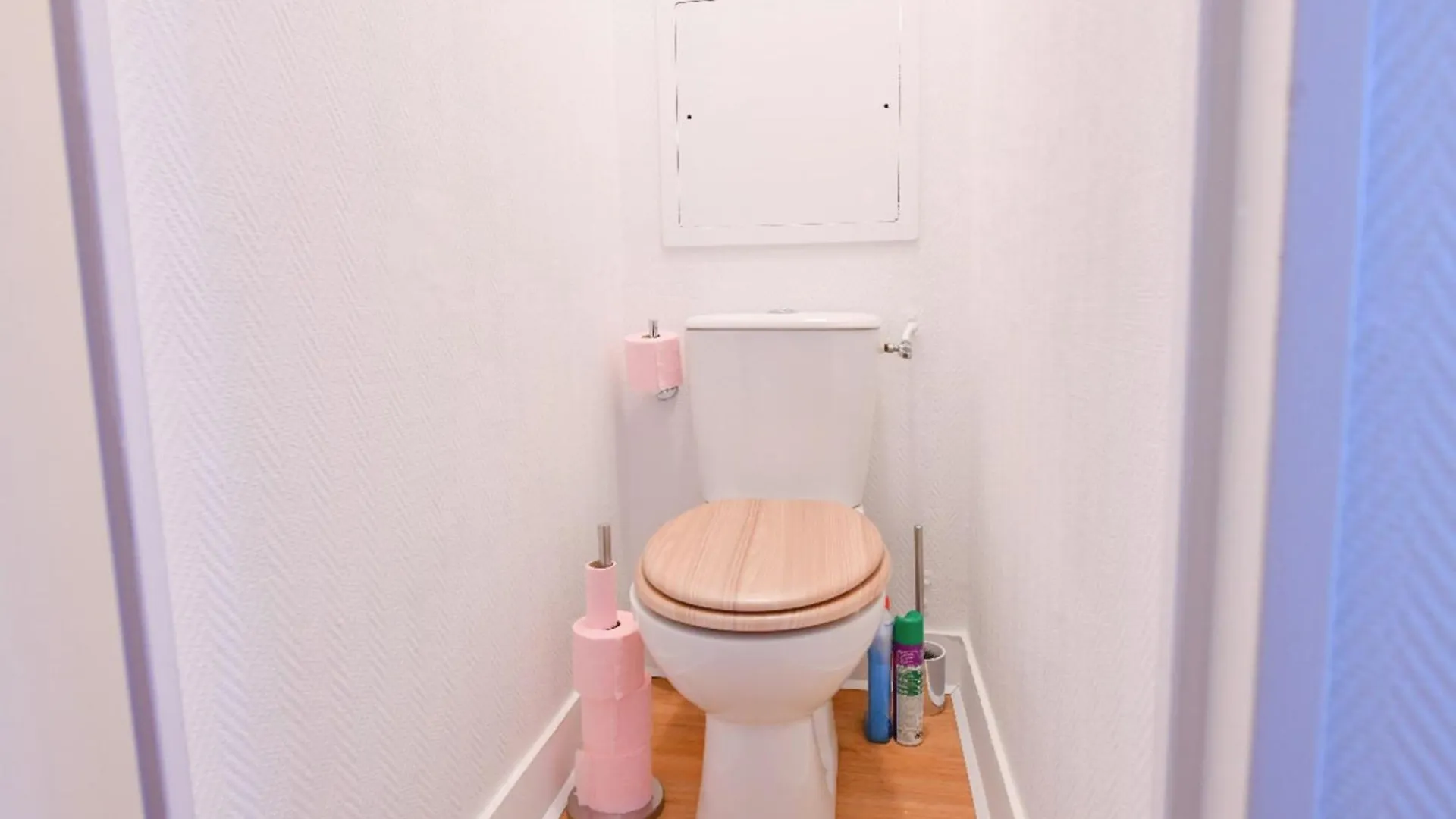 Bright With Balcony At Buttes Chaumont Appartement Parijs